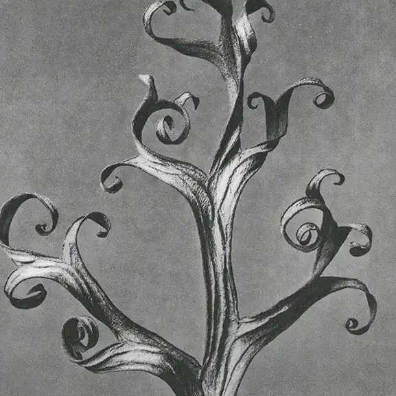 delphinium flowers – What is Atlantis Really? Image for service