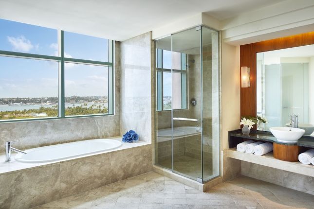 Cove bath tub and shower