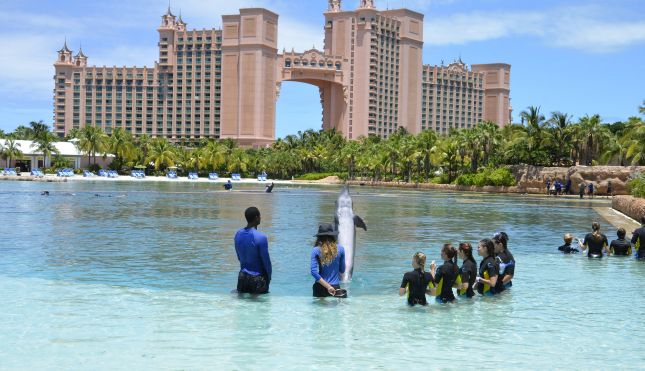 Paradise Lagoon Atlantis Paradise Island