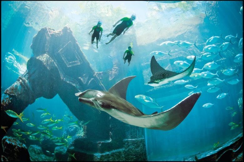 Atlantis Activities Snorkel the Ruins