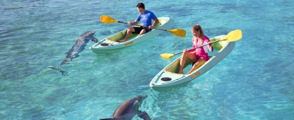 Atlantis Watersports and seeing dolphins