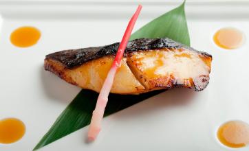 Nobu Bahamas Black Cod Miso